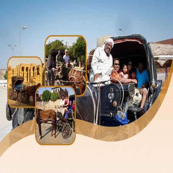 Luxor City Tour By Horse Carriage  | Egypt Tours