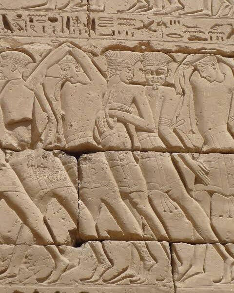 luxor west bank tour